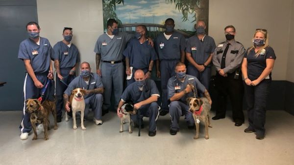 Inmates together for a group pictures with dogs from the TAPS program, standing and squatting in front of a mural