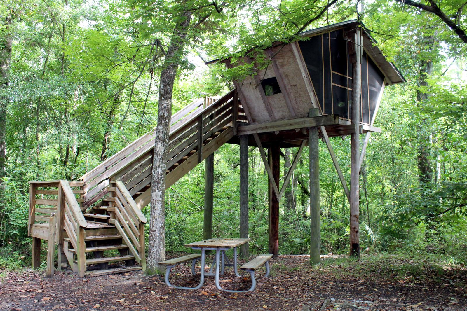 View of a treehouse surrounded by trees at Camp Chowenwaw