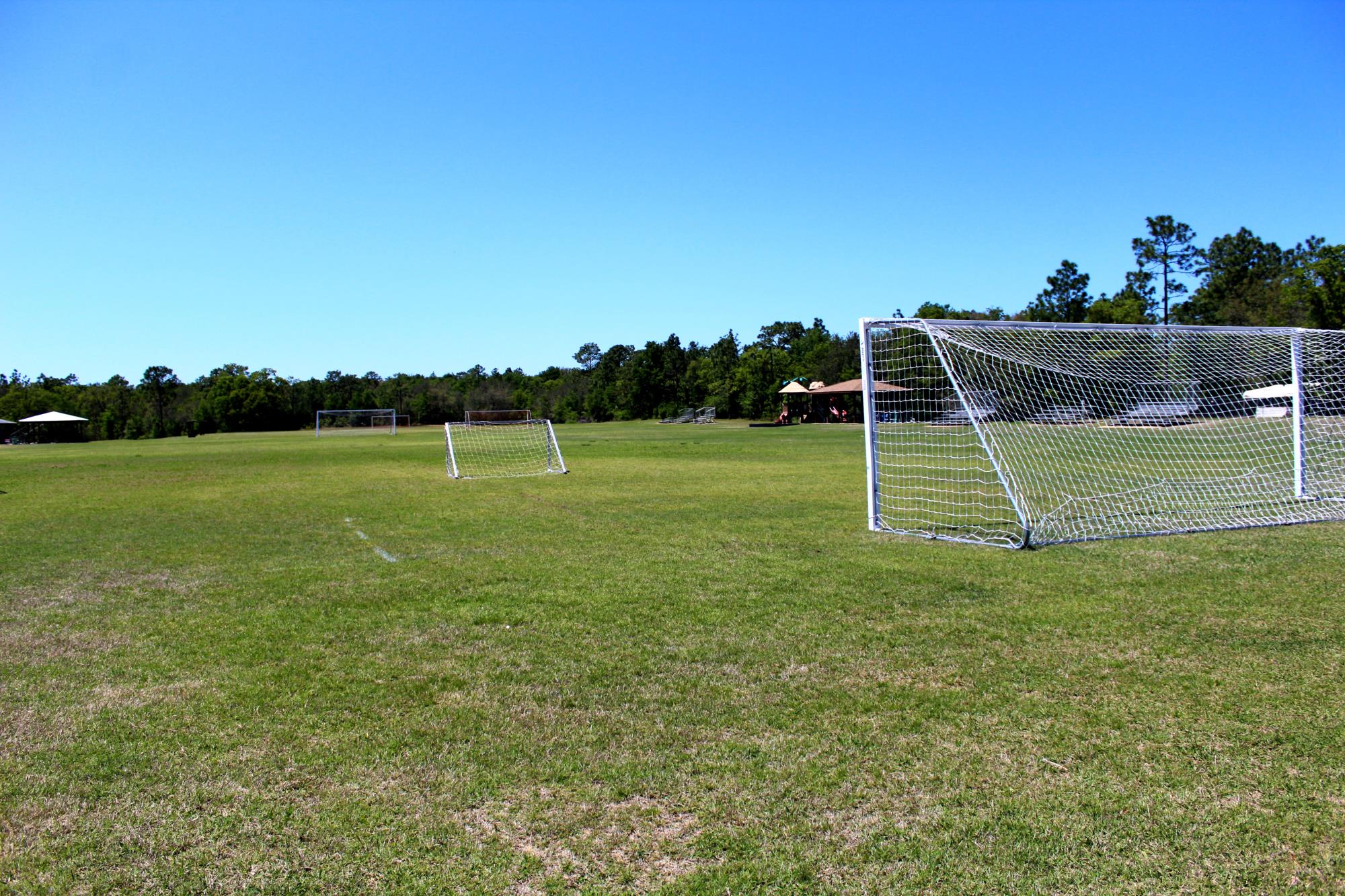 Soccer field with large and small soccer goals