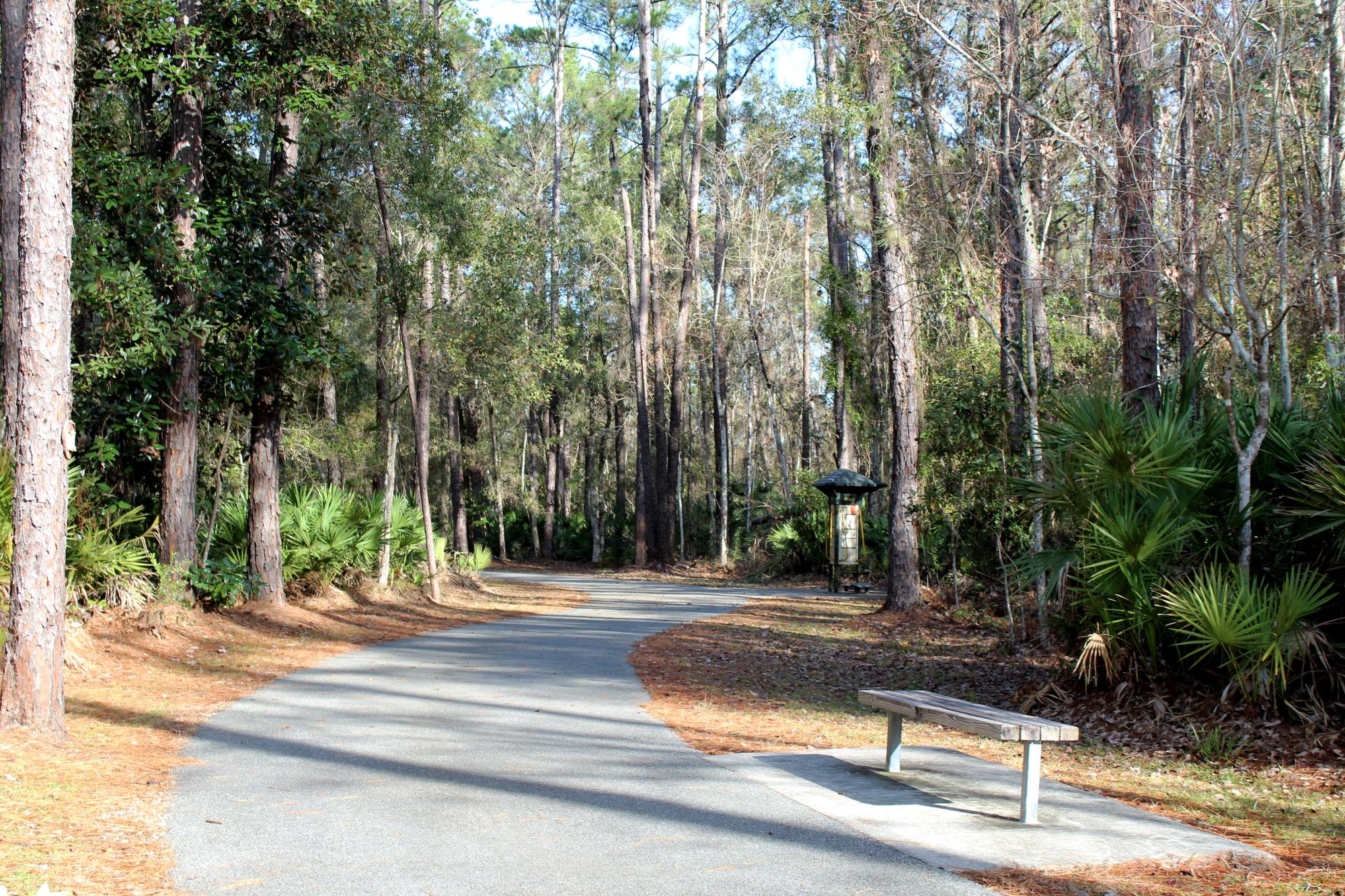 Paved trail through trees with a bench and exercise station in the distance