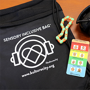 Sensory Friendly Services