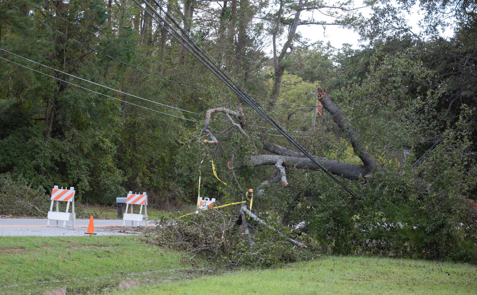 Downed power line