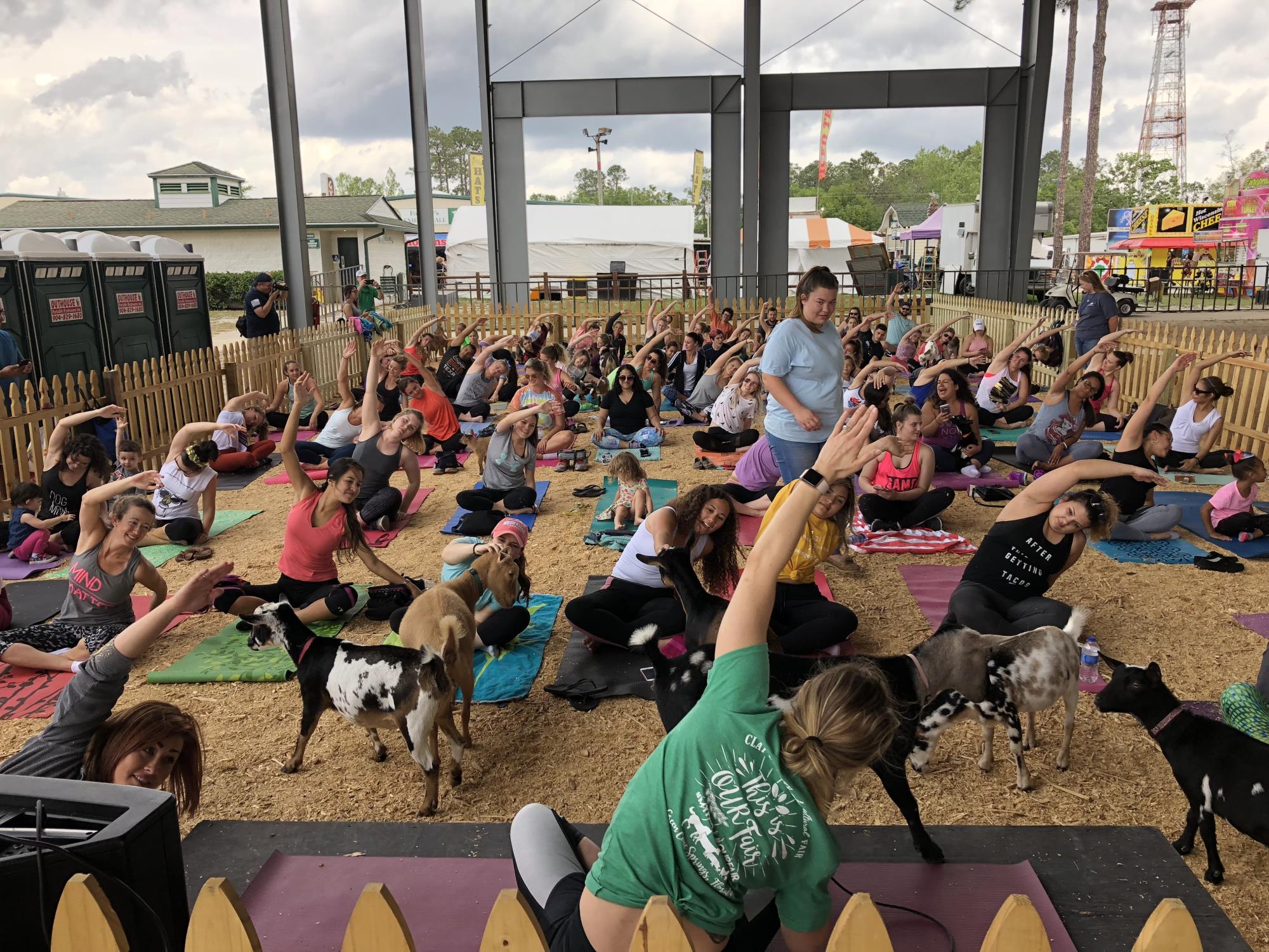 Goat Yoga