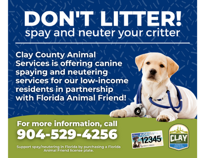 Low cost spay and neuter