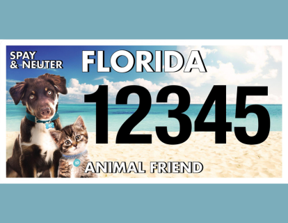 Florida Spay and Neuter License Plate