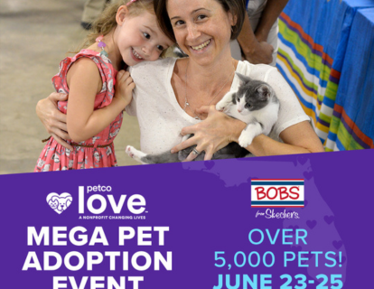 Petcolove Mega Adoption image