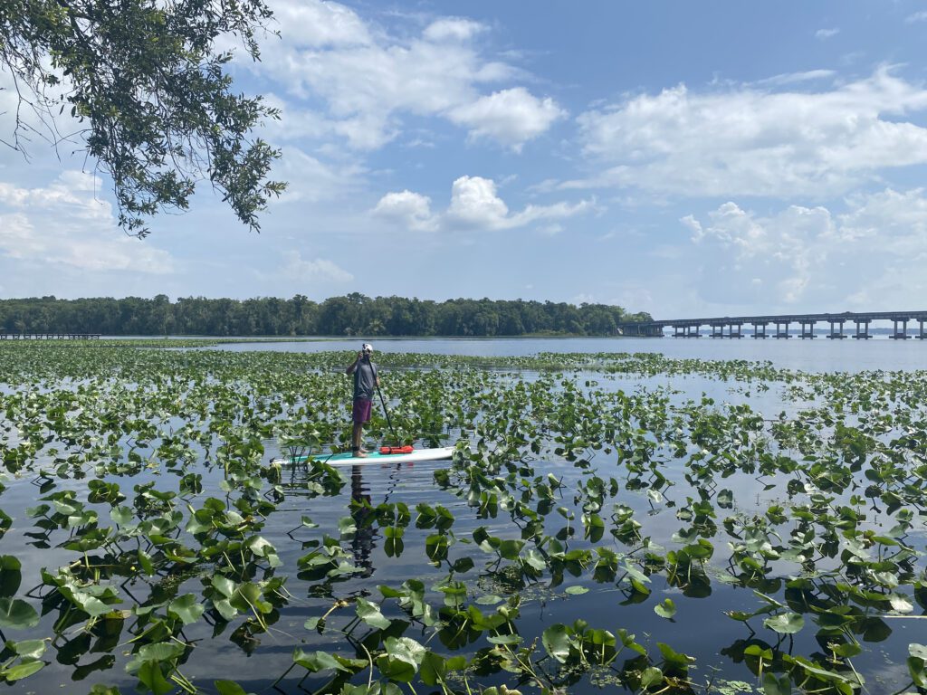 Paddleboarding at Camp Chowenwaw Park