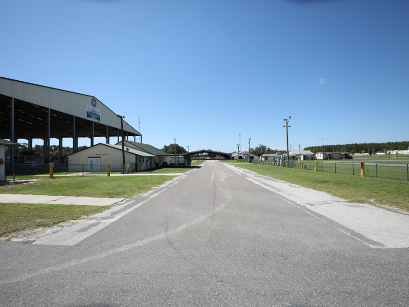 Arena and Field