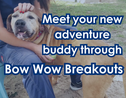 Meet your new adventure buddy through Bow Wow Breakouts