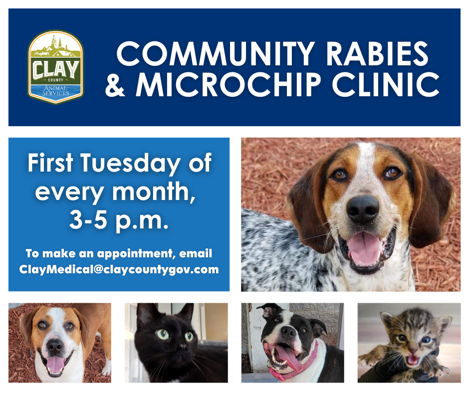 Rabies & Microchip Clinic